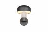 Nowoczesny kinkiet zewnętrzny szary kształt grzybka klasyczny minimalistyczny aluminiowy betonowy dekor FRASER IP54 262560178 Trio